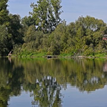 22e5007f-4001-4403-9854-b9fc78ecbf2d Deux adolescents perdent la vie dans une noyade tragique à Besançon
