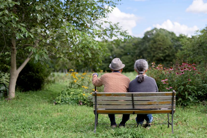 Couple de personnes agees, seniors vus de dos assis cote a cote sur un banc au milieu dÕun jardin, profitant du paysage. Mukudori : Un regard délicat sur l’âge et la maladie