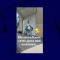 La fresque de Nacle à Besançon menacée d’effacement