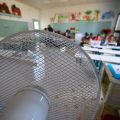 L’éducation face à la chaleur intense : adaptations et défis