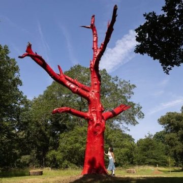 La canicule provoque des perturbations en France et en Europe