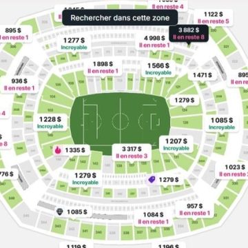 Supporters des Bleus face à un dilemme financier pour le match France-Sénégal