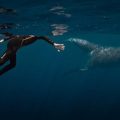 La rencontre musicale entre Rone et les baleines