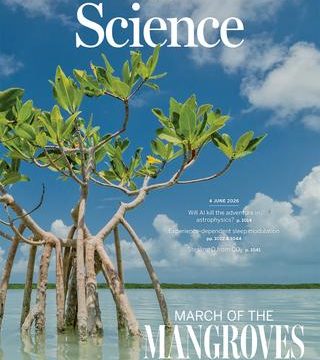 Les mangroves: des écosystèmes en renaissance