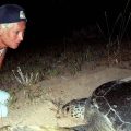 Une perte pour sa famille et sa communauté: Mona Khalil, pionnière de la protection des tortues, tuée au Liban