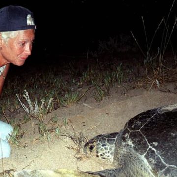3fc47dc3-1ade-47d9-b372-18c8328a5932 Une perte pour sa famille et sa communauté: Mona Khalil, pionnière de la protection des tortues, tuée au Liban