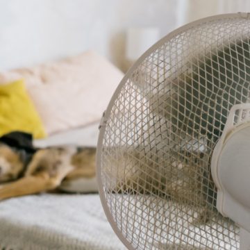 Guide Comparatif des Ventilateurs Modernes: Innovation et Polyvalence