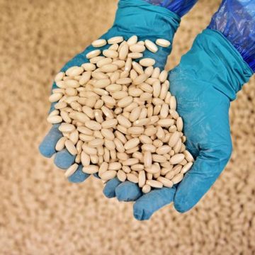 Servier fait un pas stratégique dans les maladies neuromusculaires