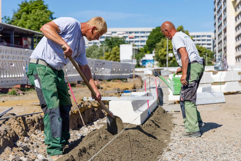 Heat Wave in Brandenburg Les vagues de chaleur en Allemagne : Une situation préoccupante