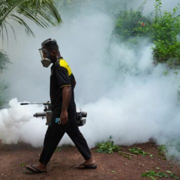 5ad17041-f00c-401f-a811-74873496e8c9 Sri Lanka : Mesures inédites contre la vague de dengue