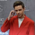 Le fils de Liam Payne, unique héritier de sa fortune