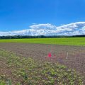 L’Adaptation de l’Agriculture face au Changement Climatique en France
