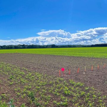 667f0af0-c6e0-4e43-9978-4c1fd3bef019 L’Adaptation de l’Agriculture face au Changement Climatique en France