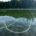 Les Déboires du Miroir d’Eau du Lincoln Memorial