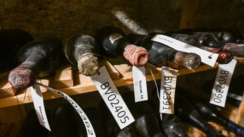 7302316b-0c0e-4547-8aad-15db79fbaff6 Des bouteilles du Château d’Yquem ressuscitées après 130 ans