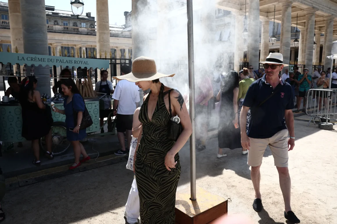 La France face à une canicule historique : impacts et mesures