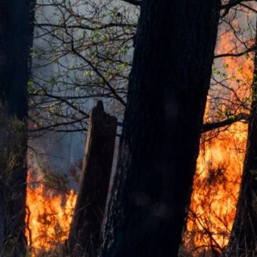 75cf0c90-6331-42ae-93da-f90866544c79 Incendies dans la Loire: Suspects en Garde à Vue