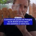 Comment le poulet importé se retrouve dans vos assiettes à votre insu