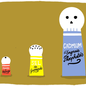 Impact du Cadmium dans l’Alimentation Quotidienne