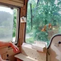 Modernisation et Transition Écologique de la Ligne Ferroviaire ‘Le Tire-Bouchon’