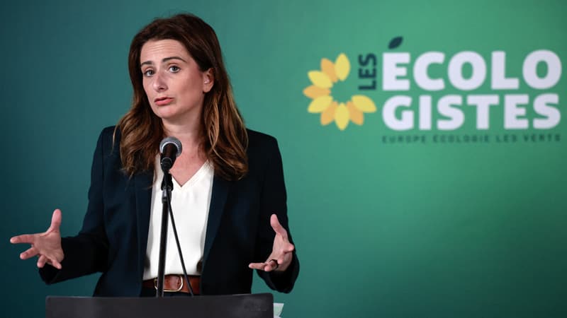 9c8f920b-6a90-47ee-b89e-53fbba390b52 Appel des Écologistes pour un congé climatique annuel