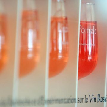 Le marché résistant du vin rosé en France