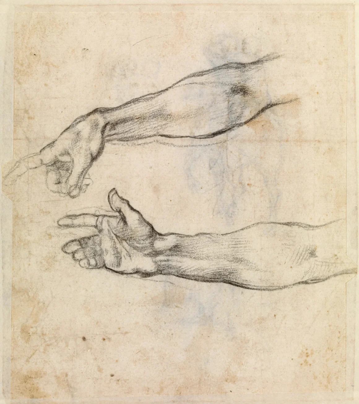 Les chimpanzés et l’art: Étude sur les dessins simiesques