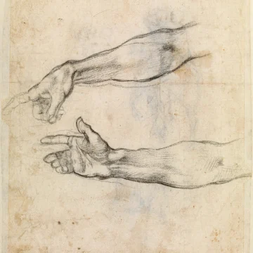 Les chimpanzés et l’art: Étude sur les dessins simiesques