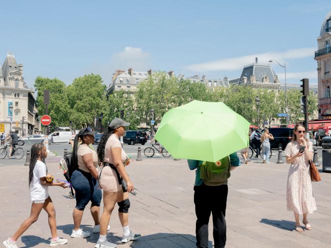 a63396cd-6cba-4555-9377-37fda65e8987 Canicule et vagues de chaleur en France