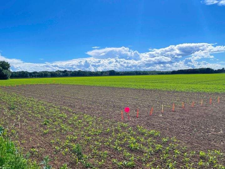 ac6b3257-8a3d-4359-b47c-4a58bff81e81 L’avenir de l’agriculture face au changement climatique