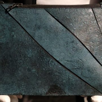 b0058be8-cf1e-47c8-b468-b16df4e2965e Cuir de T-Rex : Une avancée scientifique unique