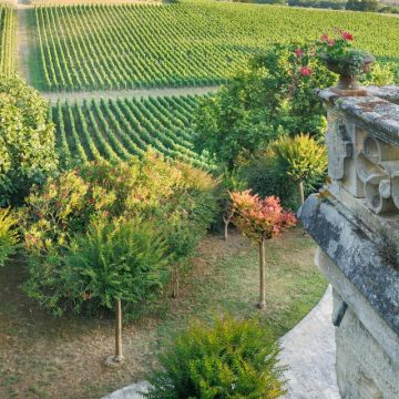 b4ec4411-6cd6-419a-93a2-c89594b8e2a5 Les jardins des châteaux du Bordelais
