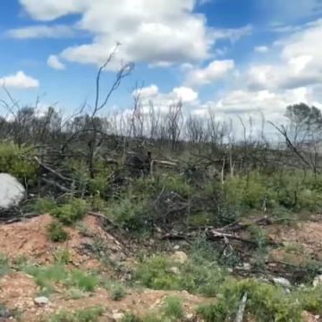 Neuf mois après l’incendie du massif des Corbières dans l’Aude