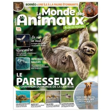 c5461365-48a2-49ff-8c55-6b2c5dbe8f61 Un voisin bien plus présent qu’on l’imagine