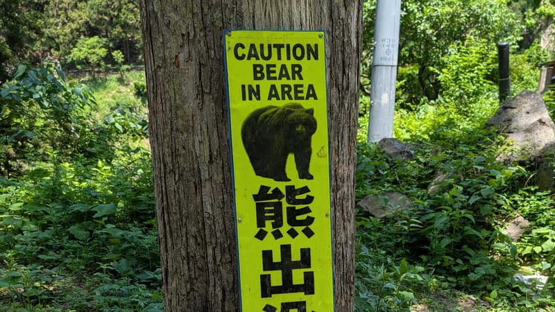 e12a99f1-b7ea-4e8e-9322-a2949537e19f Incidents d’attaques d’ours au Japon