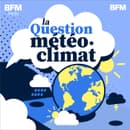 e8c2f40a-87ef-44b1-af0a-570b53ed055e Les effets de la canicule sur la présence des moustiques