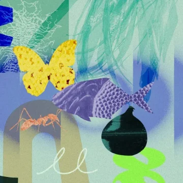 Les liens invisibles et fascinants du monde naturel