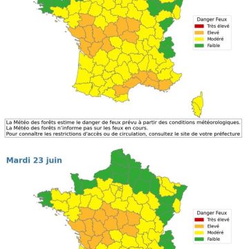 f04c8bd9-c229-4915-85df-26f4600b969a L’impact de la canicule en France et en Europe
