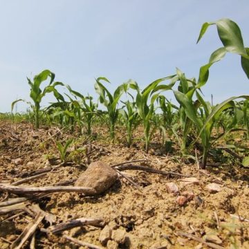Débat sur le nouveau schéma d’aménagement de l’eau du bassin de la Vilaine