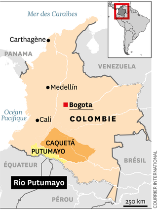 f4ee815d-d389-4cf5-9e53-82066faa233c Les ex-combattants des Farc se réinventent grâce au football