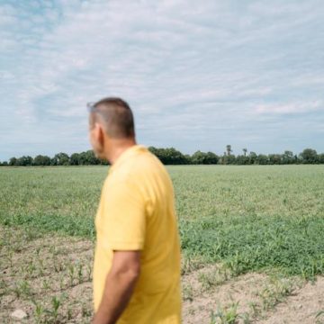 f7d4eb2e-b24f-4347-8acb-e23f8ba46074 Dérégulations environnementales dans le projet de loi agricole