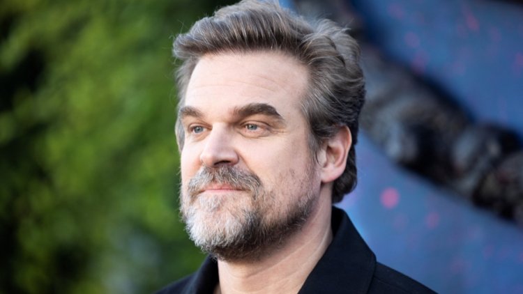 ffd9678f-8998-4938-9daa-94398f863c19 David Harbour ouvre sur sa santé mentale et son lien avec Millie Bobby Brown