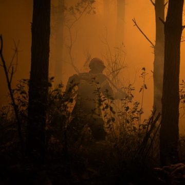 036d99f7-1468-4342-b735-1a4807fd1a2e La situation des incendies en France : bilan et mesures