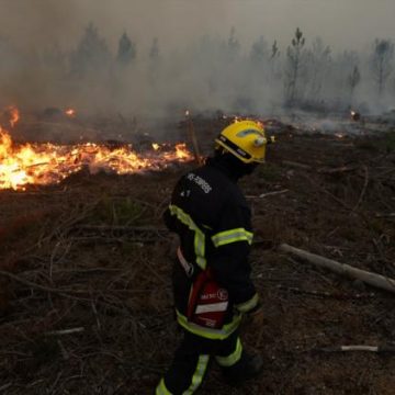050a4191-da20-4432-a735-7639cc71fdfc Incendies en Gironde : la lutte continue face à des températures extrêmes