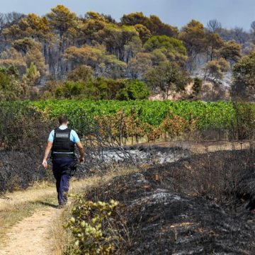 INCENDIE PONTEVES COTIGNAC (VAR) Les Feux de Forêt en France : Développements et Actions en Cours