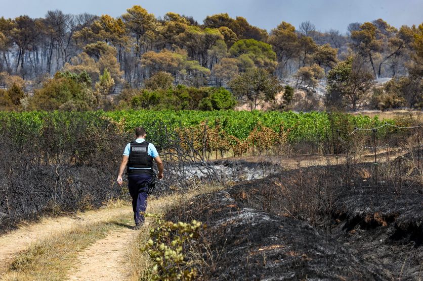 INCENDIE PONTEVES COTIGNAC (VAR) Les Feux de Forêt en France : Développements et Actions en Cours