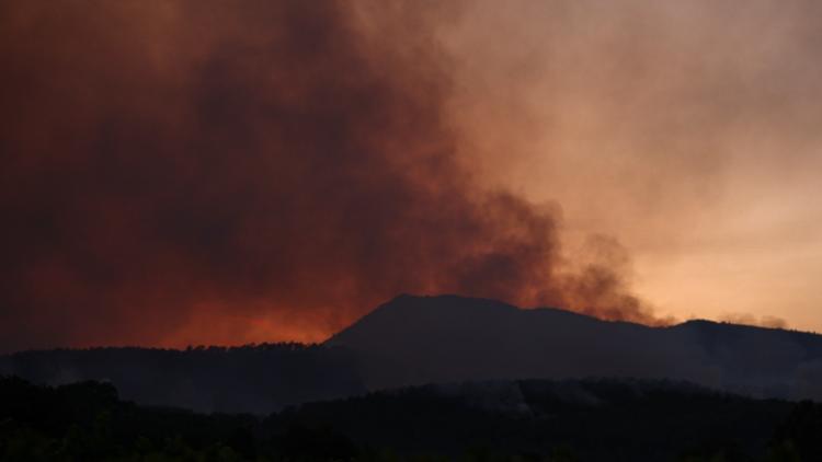 087a3eb4-197c-4ef7-8ea1-b1f7525bce2a Incendies dans le Var : situation critique et interventions en cours