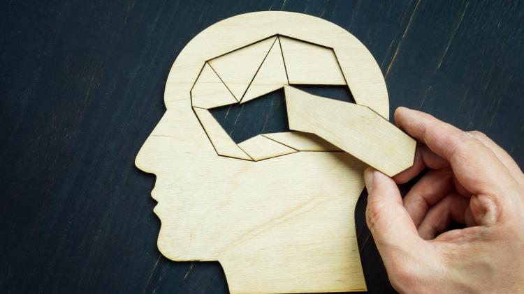 0a2f0835-2b84-4805-8f84-3c78d47304be Conseils pour maintenir des fonctions cognitives optimales