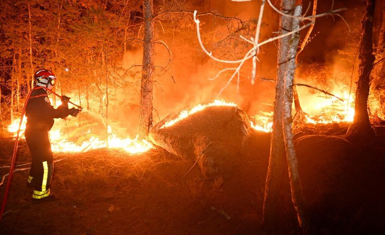0b722aeb-1931-4b15-b5cc-6604e5f4593a Incendies maîtrisés dans la forêt de Fontainebleau
