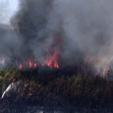 0c93ee83-882a-4b6d-99d3-c93f23daacf0 Incendie à Taradeau-Les Arcs : piste criminelle et enquête en cours